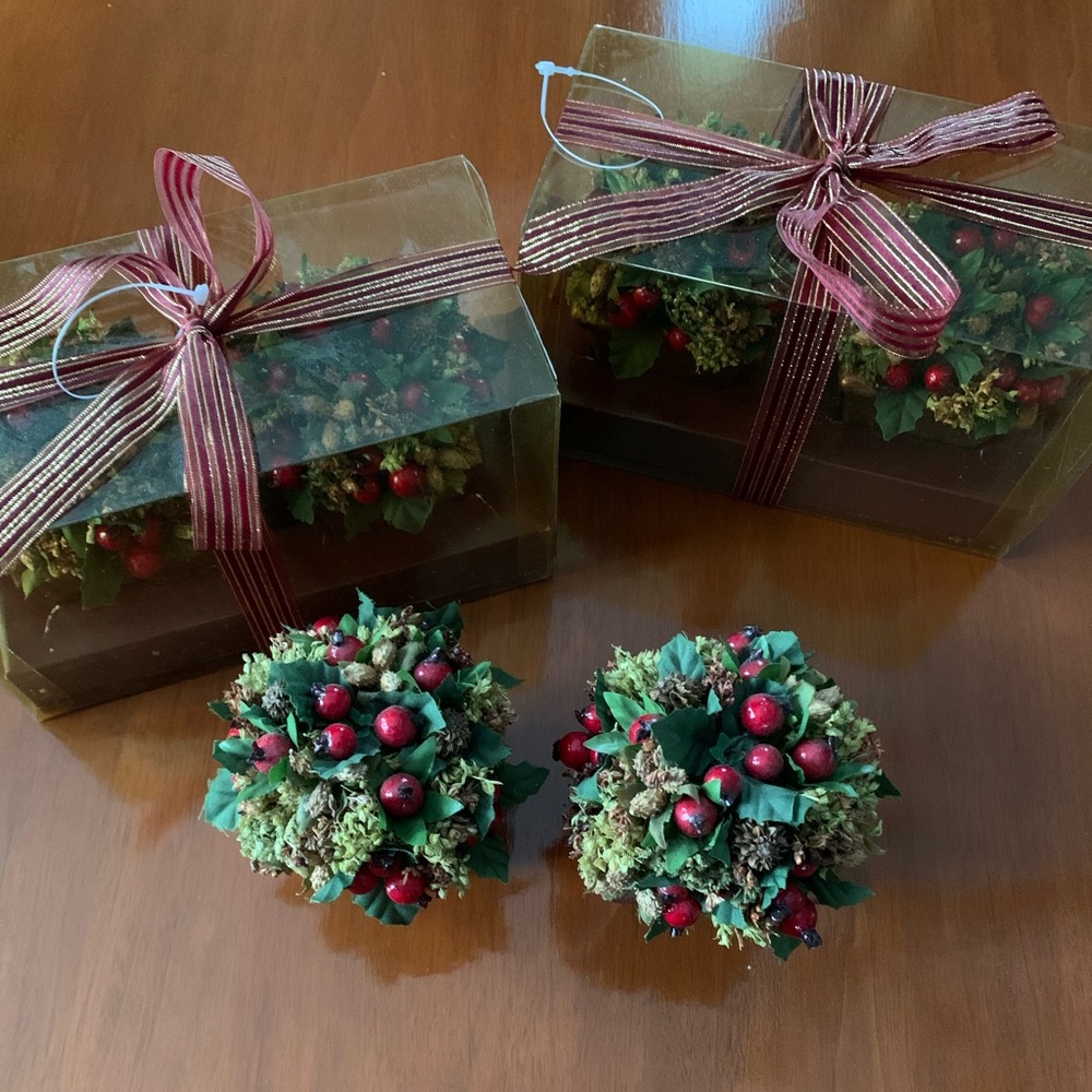 Small Potted Topiaries
